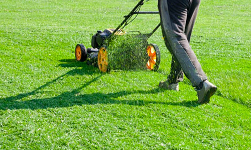 Lawn Care